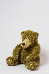 toy cute teddy bear winy pooh