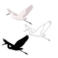  heron  vector illustration, flat style,profile side