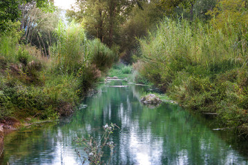 Reflections in the river water between nature