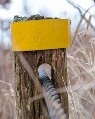 Wood Post with Yellow Metal Band