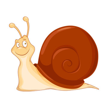 Snail. Cute Young Snail isolated on white background. Shellfish animal cartoon character. Education card for kids learning animals. Logic Games for Kids. Vector illustration in cartoon style.