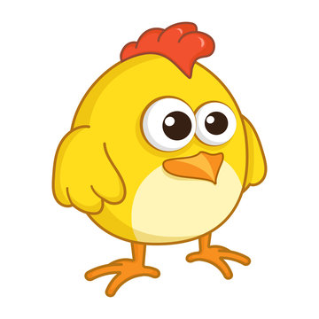 Chicken. Cute Young Chicken or Rooster isolated on white background. Farm bird cartoon character. Education card for kids learning animals. Logic Games for Kids. Vector illustration in cartoon style.