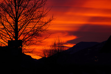 beautiful orange sunset with tree and mountain silhouettes