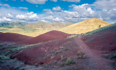 Breathtaking colorful red and white clay fossil beds with a beautiful semi desert background with big white clouds and a blue sky at the John Day Fossil Beds Painted Cove Trail in Oregon
