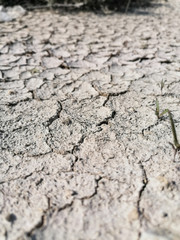 drying land and dying agriculture  cause of water crises 