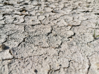drying land and dying agriculture  cause of water crises 