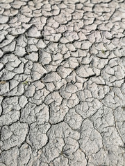 drying land and dying agriculture  cause of water crises 