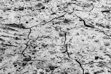 drying land and dying agriculture  cause of water crises 