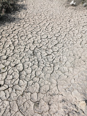 drying land and dying agriculture  cause of water crises 