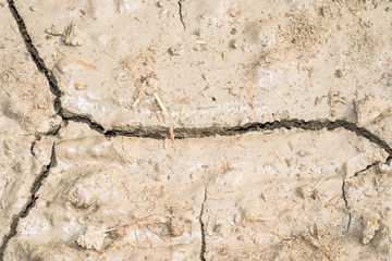 dying and drying land cause of climate change and water shortage 