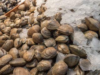 A pile of Manila clams in their shell on ice for sale at a food stall in Pike Place public market in Seattle, Washington.