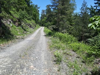 Fototapeta na wymiar Old carriage road in the mountains