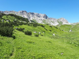 Mountain trail on the alps under big rocks