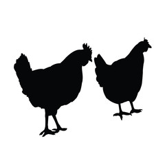 chicken body silhouette vector