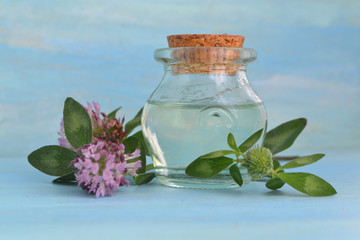 Bottle of elixir or essential oil and branch of clover. Blue background