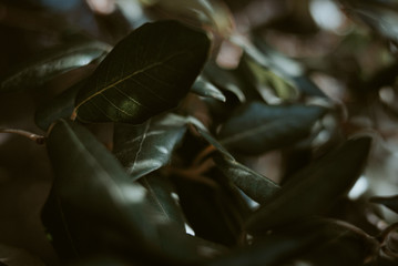 closeup of bottle of wine
