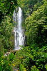 Maui Hana Waterfall Hawaii