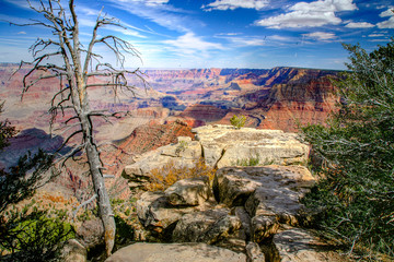 Grand Canyon AZ