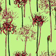 Vintage floral vector seamless pattern. Sketches of Spider lily flowers. Hand drawn exotic plants Lycoris background. Colored botanical wallpaper for textile, paper, prints, wrapping, fabric, card etc
