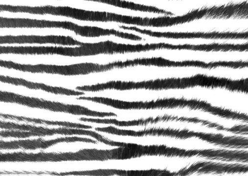 abstract zebra skin print design