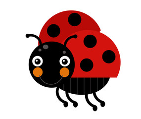 Fototapeta premium Cartoon animal insect ladybug on white background illustration for