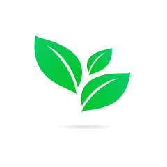 Flat leaves icons. Abstract green leaf logo vector design.