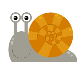 Cartoon animal snail on white background illustration © honeyflavour