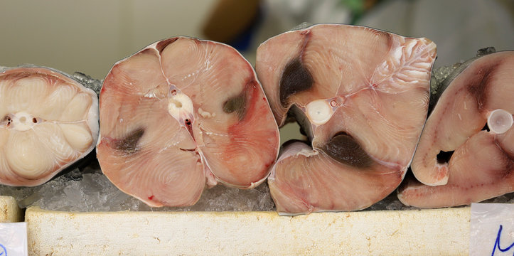 Fresh swordfish at a fish market.