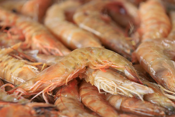  shrimps on the fish market