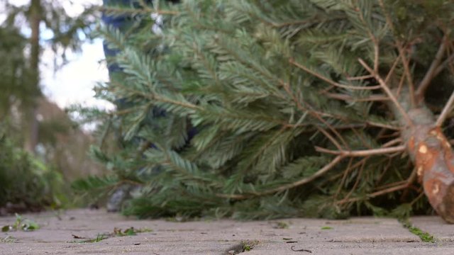 A man pulling the old christmas tree away