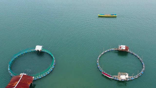 Aerial view of fish ponds for bangus, milkfish. Fish farm, top view. large scale traditional floating fish farms.