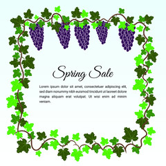 Grape Fruit in spring sale banner