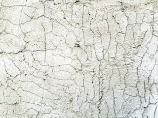 texture of old wall