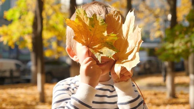4k video of happy smiling toddler boy holding two yellow leaves at face and looking in camera at park