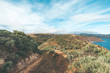 Landscape of Makara Beach in summer, Wellington, New Zealand  