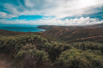 Landscape of Makara Beach in summer, Wellington, New Zealand  