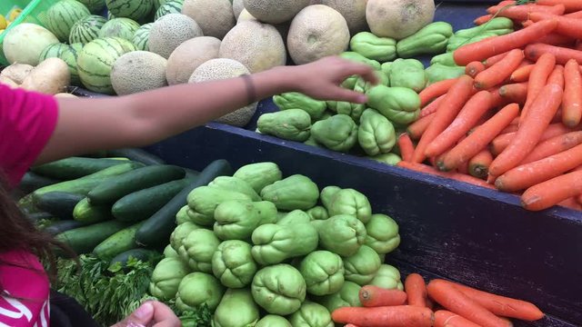 Hand picking up fresh chayote squash in authentic mexican market