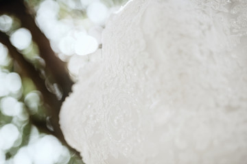 Close-up of white wedding dress texture hanging on tree. Focused on decorative pattern of dress with embroidered shapes of small flowers. In background blurred branches and leaves in form of bokeh.