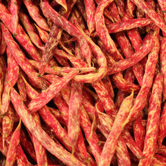 Closeup of Red Borlotti Dry Beans in an Italian Market