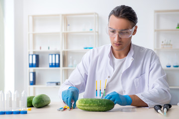 Fototapeta premium Male nutrition expert testing vegetables in lab
