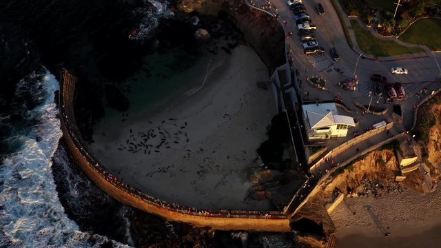 Flying Away From Sea Lions and La Jolla California