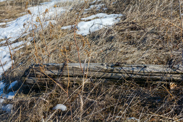 Fence post with barb wire laying on a spring or winter prairie land scape like the old west