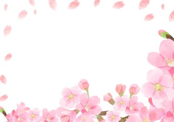 桜　水彩　フレーム