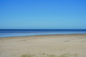 The landscape of Florida palm harbor beach