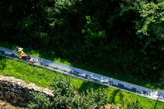 Sliding Down the Great Wall of China Greenery Parks