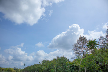 The blue sky and white clouds in the evening sky