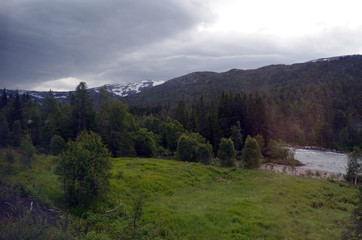 Fototapeta premium Railway travel in Norway.Views from the train. The Bergen - Oslo train. 