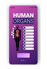 human body structure infographic poster with male internal organs icons anatomy system board smartphone screen mobile app vertical vector illustration
