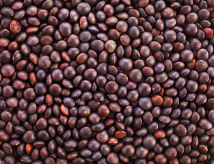 Background of raw black lentils. Top view.