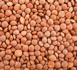 Background of raw brown lentils. Top view.